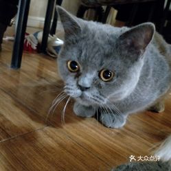 rxPGobisRYDoKAuN_MI5GpJHfo9RyO45MzAohGR7zKC6yDO85r4c9iK1SxJXYVNnuzFvxlbkWx5uwqY2qcjixFEuLYk00OmSS1IdNpm8K8twhW7bzr4O88Ivp4FuDG0SfCF2ubeXzk49OsGrXt_KYDCngOyCwZK-s3fqawWswzk.jpg