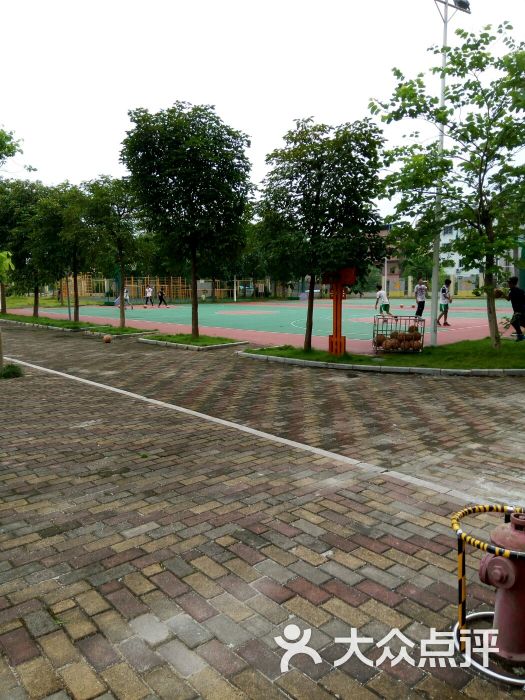 钟村育英小学校图片 第3张