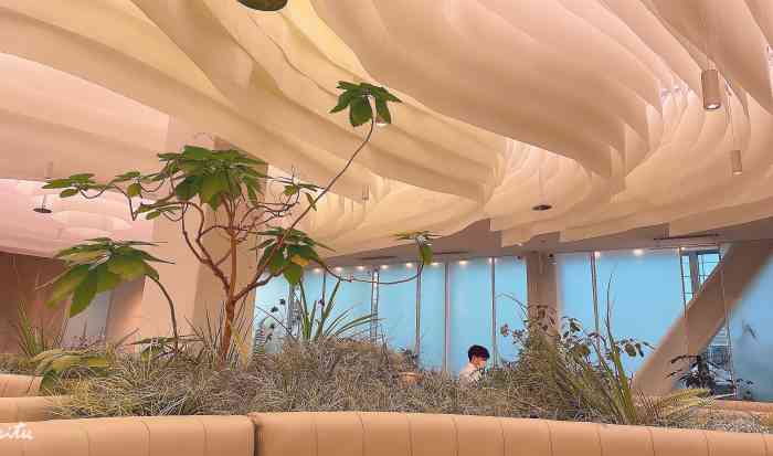 大树餐厅(柏威年店)-"the tree. 餐厅里面有棵大树其.