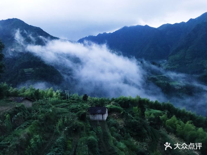 过云山居精品酒店-图片-松阳县美食-大众点评网