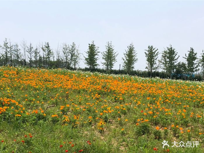武汉紫薇都市田园图片 - 第5张