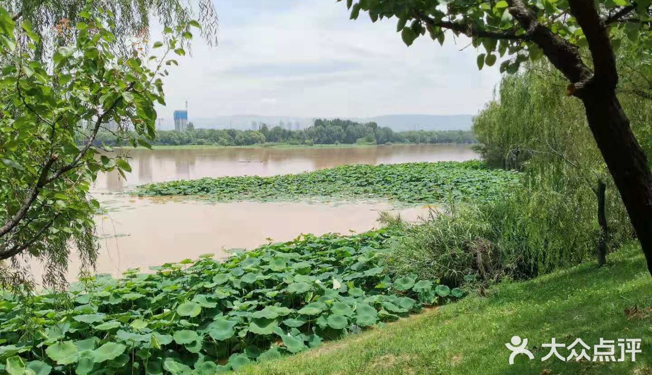 西安灞河生态湿地公园