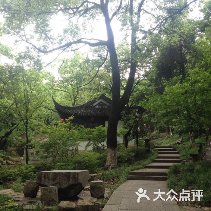 虞山风景区-上山路图片-常熟周边游-大众点评网