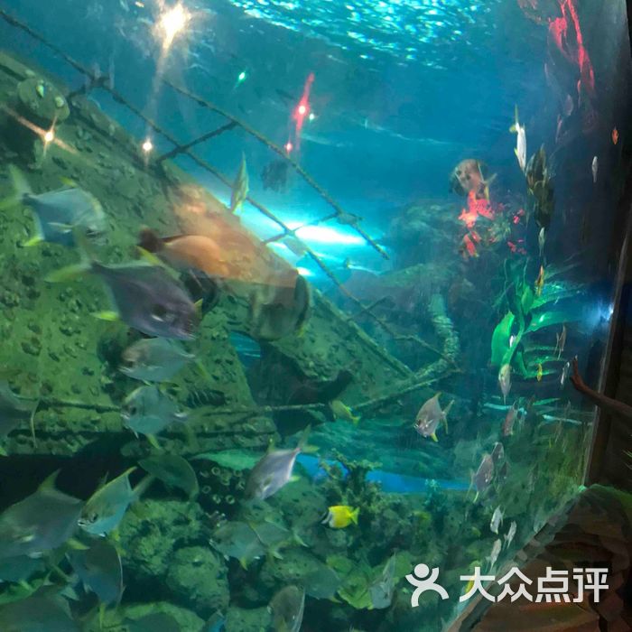 太奥幻太奇海洋馆