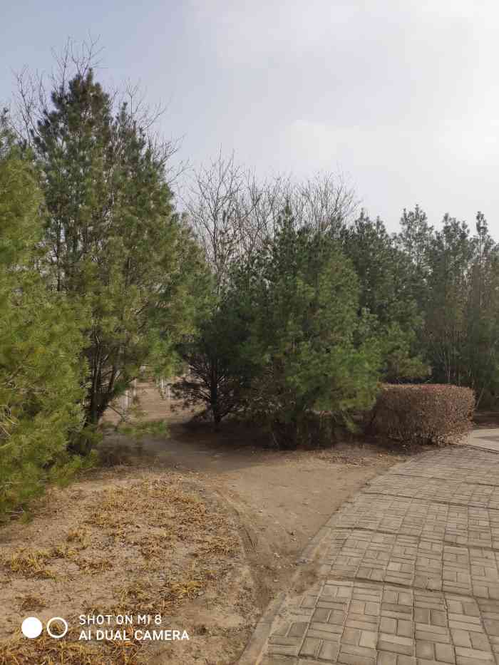 西会公园-"沿着通惠河北岸,一直向东.过管庄路路口,."-大众点评移动版