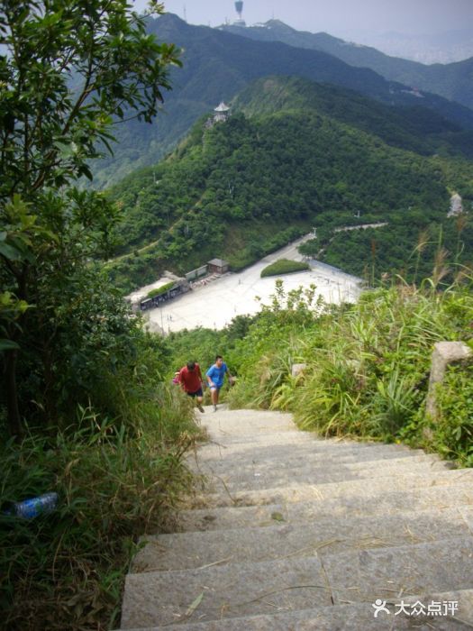 梧桐山好汉坡图片