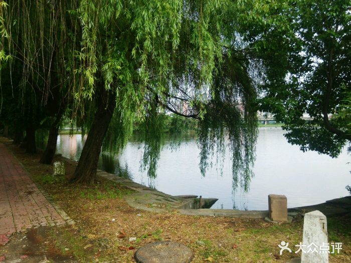张毕湖公园 大众点评