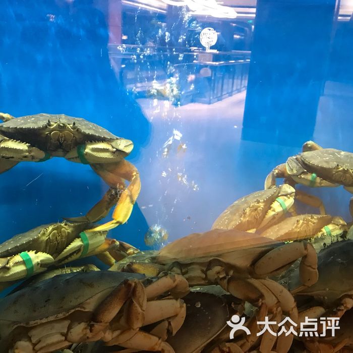 珍宝海鲜jumbo seafood图片-北京东南亚菜-大众点评网