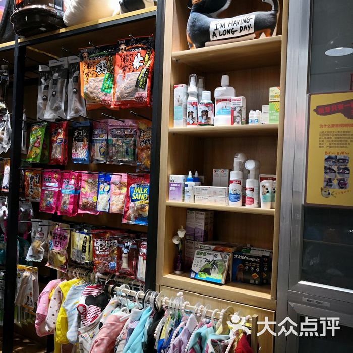 1013 pet shop 宠物商店