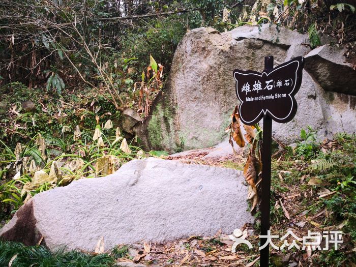 福州灵石山国家森林公园图片 - 第44张
