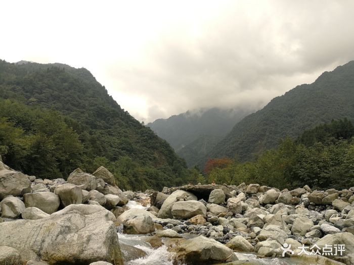 白水河自然保护区图片 - 第12张