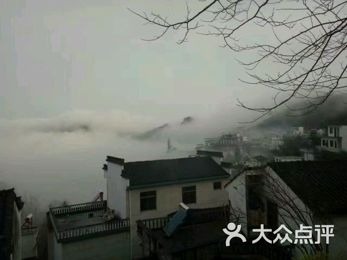 坡山村竹林小屋农家乐-图片-歙县休闲娱乐-大众点评网