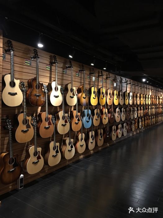 世音琴行精品店(亚龙国际广场店)-图片-上海学习培训-大众点评网