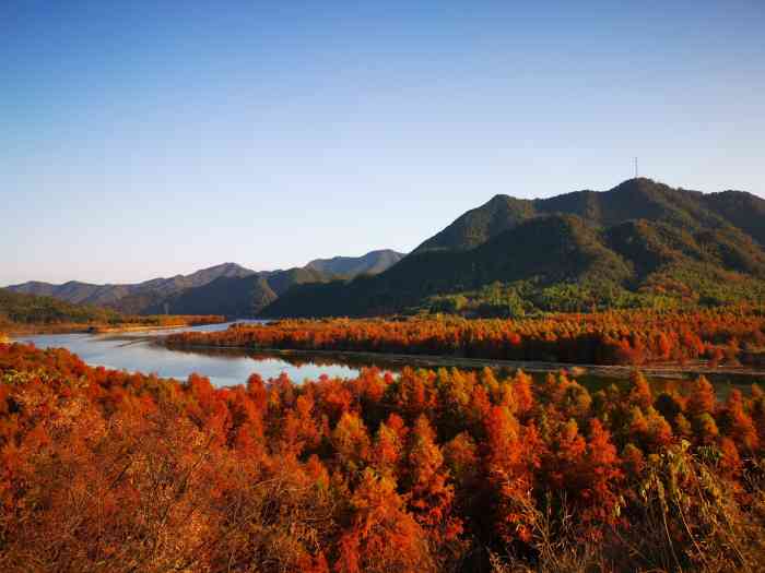 青龙湾生态旅游区-"安徽青龙湾国家森林公园位于安徽.