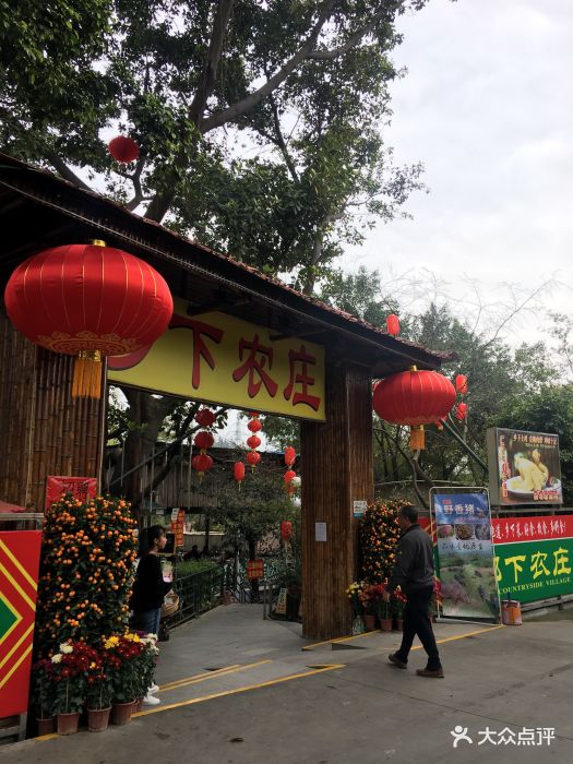 乡下农庄门面图片