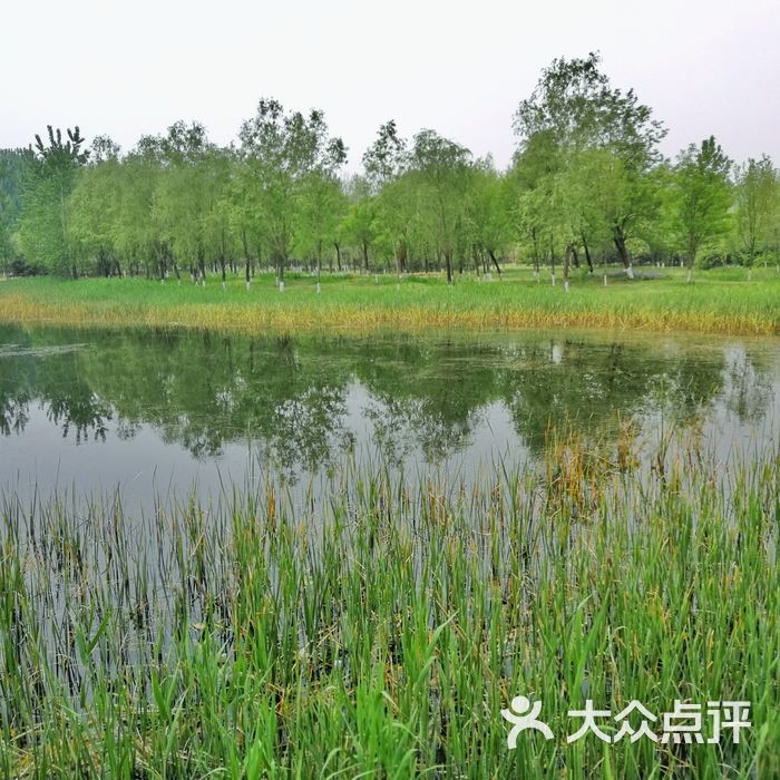 汉石桥湿地公园
