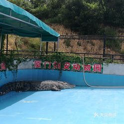 厦门中非世野野生动物园 位置:往翔安厦大校区方向,去的时候导航导到
