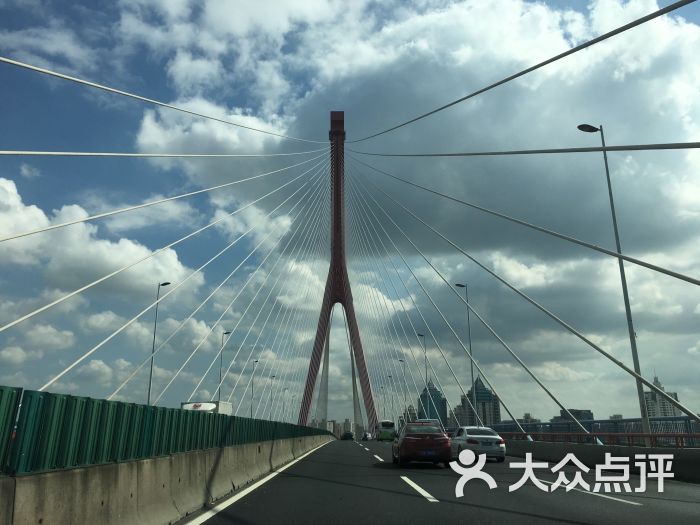 杨浦大桥图片 - 第3张