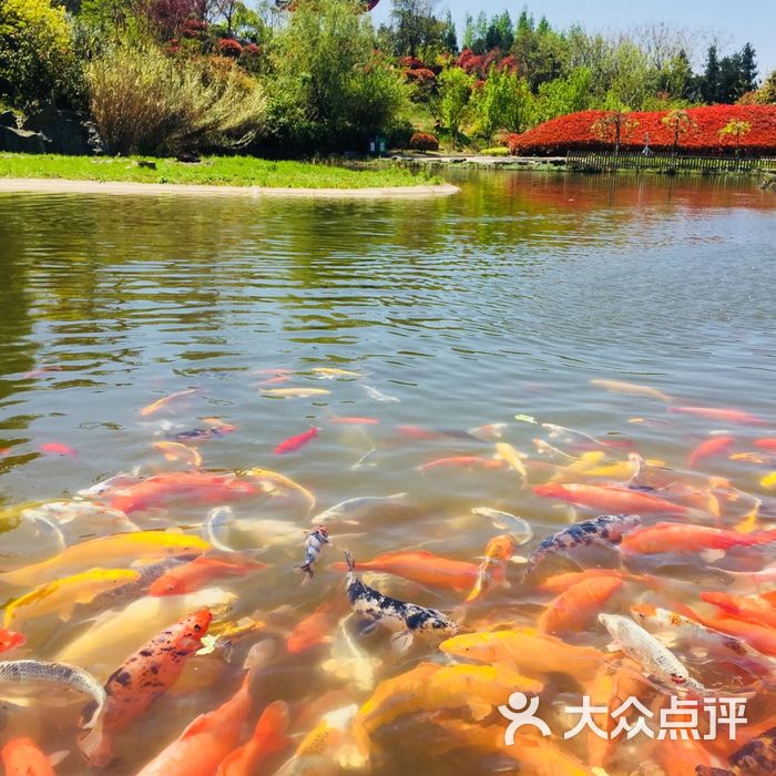 南京雨发生态旅游区