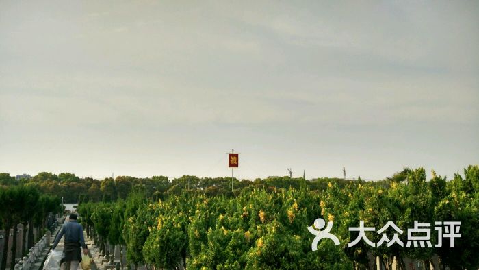 徐泾西园图片 - 第3张