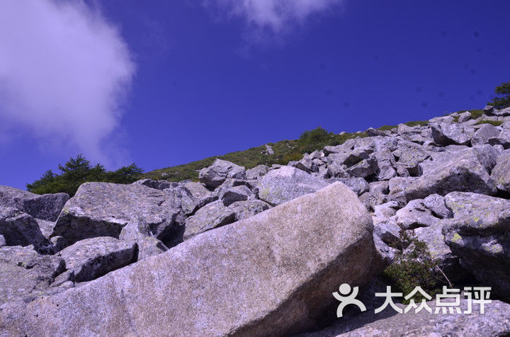 太白山国家森林公园的点评