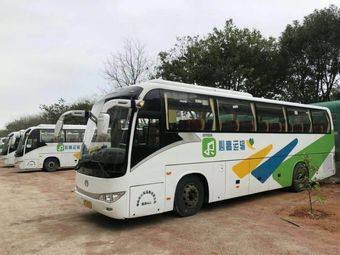 心高旅運