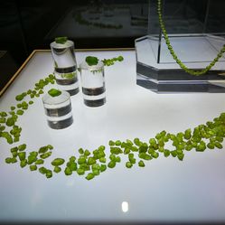 【河北地质博物馆】电话_地址_价格_营业时间