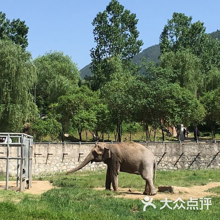 西安秦岭野生动物园