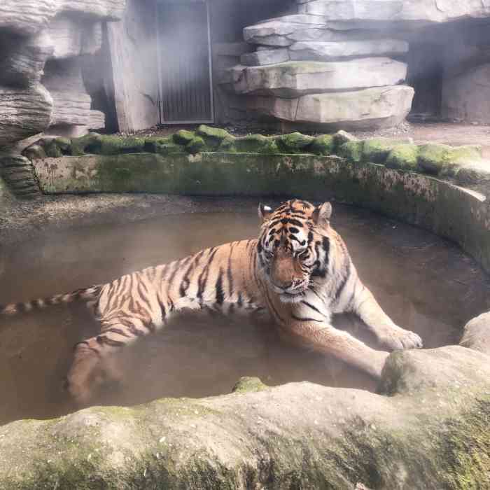 台州湾野生动物园-"门票没有活动的话90左右感觉有点