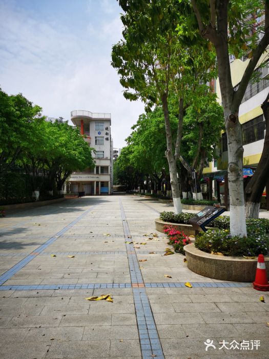广州市江南外国语学校图片