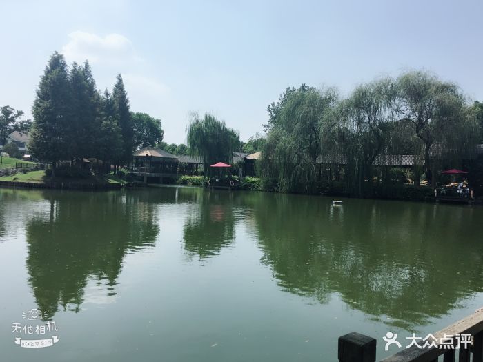 悠悠谷·青龙山庄酒店餐厅--环境图片-南京美食-大众点评网