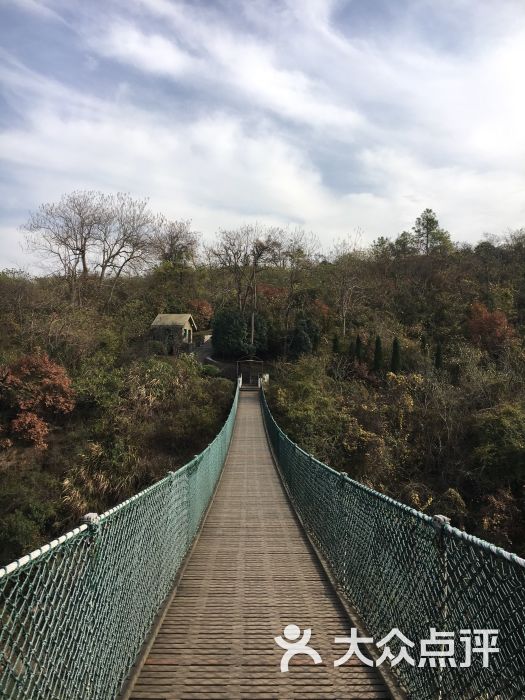 溧水天生桥风景区-图片-南京周边游-大众点评网