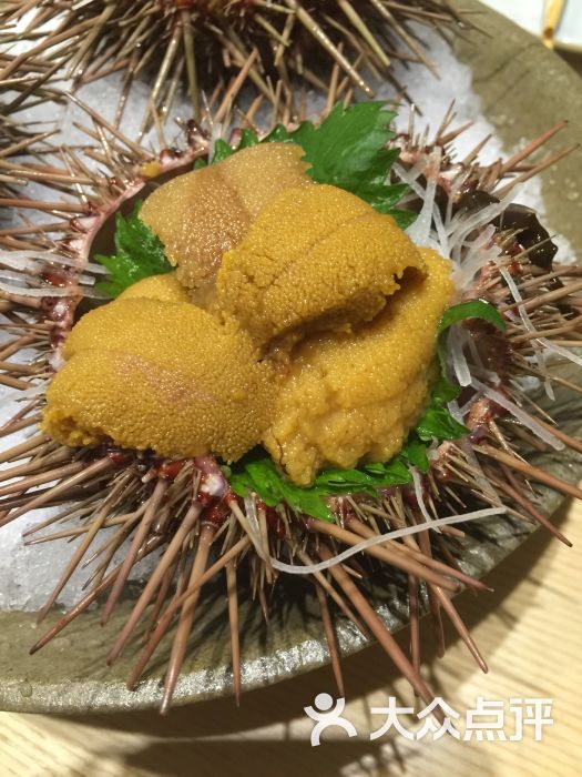 鱼藏(虹梅路店)-美食-上海图片-大众点评网汇美食四方图片