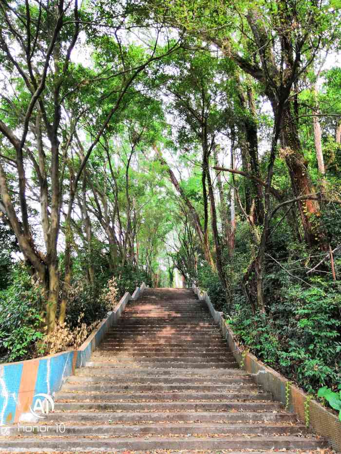 大岗山公园-"大岗山实际上就是一个大石头吧,不算是.