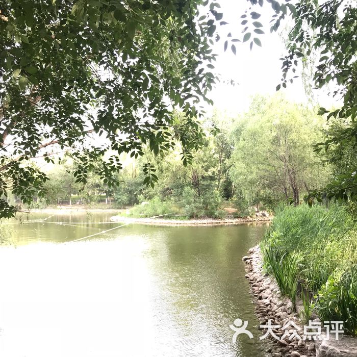 旺兴湖郊野公园