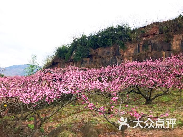宝狮湖图片 - 第76张