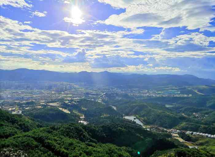 长虫山生态公园风景林-"每年12月至6月封山期,作为.