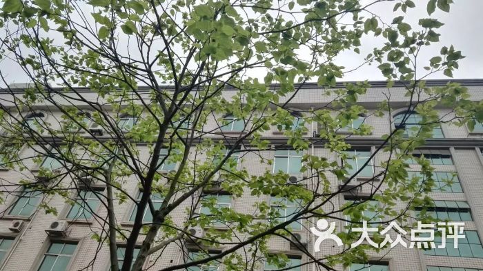 广西民族大学附属小学图片 - 第1张