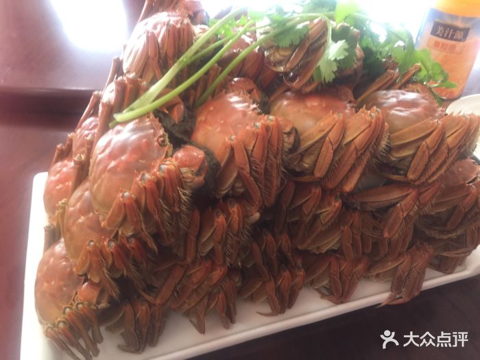 杨菊香酒楼-图片-金坛区美食-大众点评网