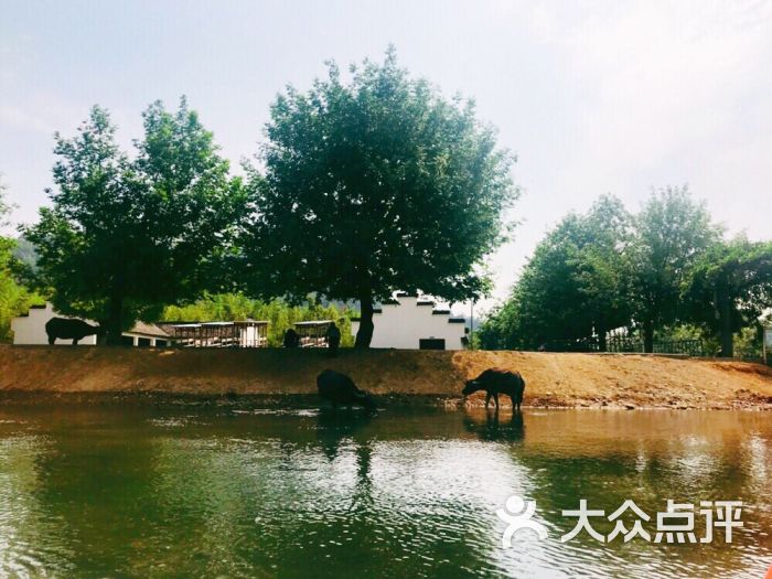 双溪漂流:随上海旅游集散中心的一日游来到.杭