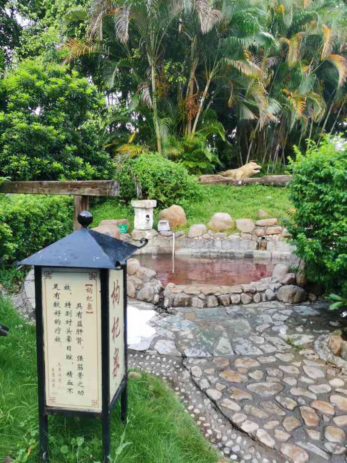普宁盘龙湾温泉度假村"第三次来盘龙湾,空气非常的好,让人感觉安.