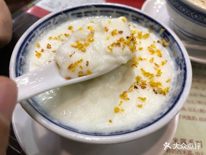 周大娘牛乳(锦龙店-桂花姜撞奶图片-顺德区美食-大众点评网