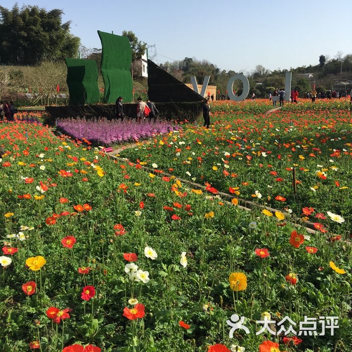 凤凰花漫大地四季花卉景观园