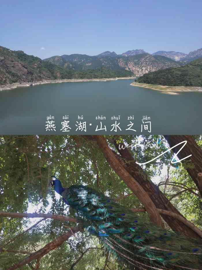 燕塞湖鸟语林景区