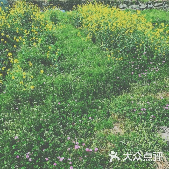 竹中滋味山庄(莫干山店)-图片-莫干山休闲娱乐