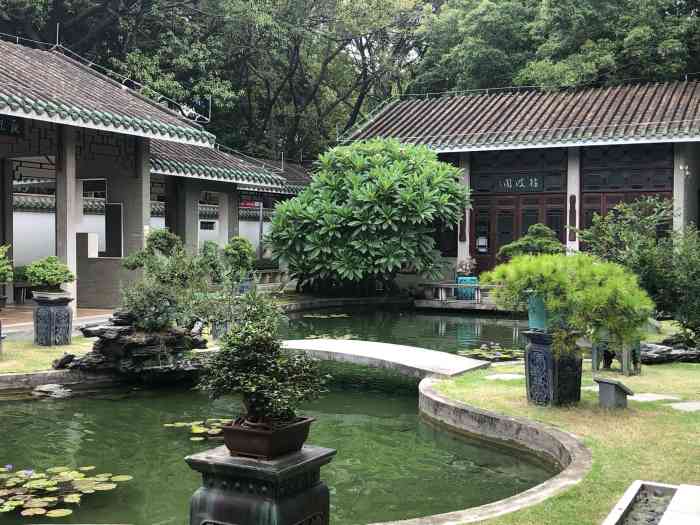 流花西苑"至流花公园游玩,行至一一流花西苑,发现这.