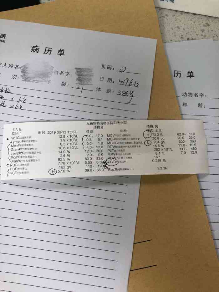 "-大众点评移动版