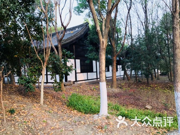 放鹤洲公园-图片-嘉兴周边游-大众点评网