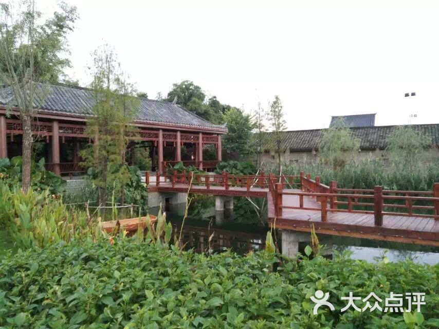 美丽南方·忠良景区图片 - 第327张