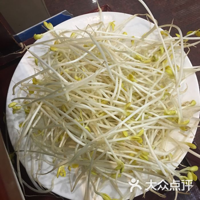 重庆齐齐火锅黄豆芽图片 - 第7张